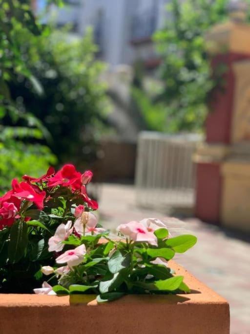 Palacete Del Porvenir Sevilla Dış mekan fotoğraf